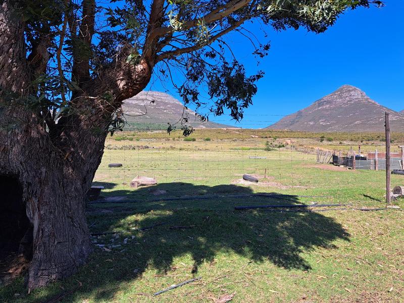 11 Bedroom Property for Sale in Kareedouw Eastern Cape